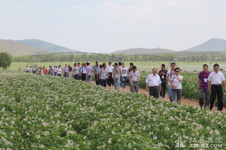 全国马铃薯产业发展大会现场观摩活动在弘基农业举行 全国马铃薯产业发展大会现场观摩活动在弘基农业举行