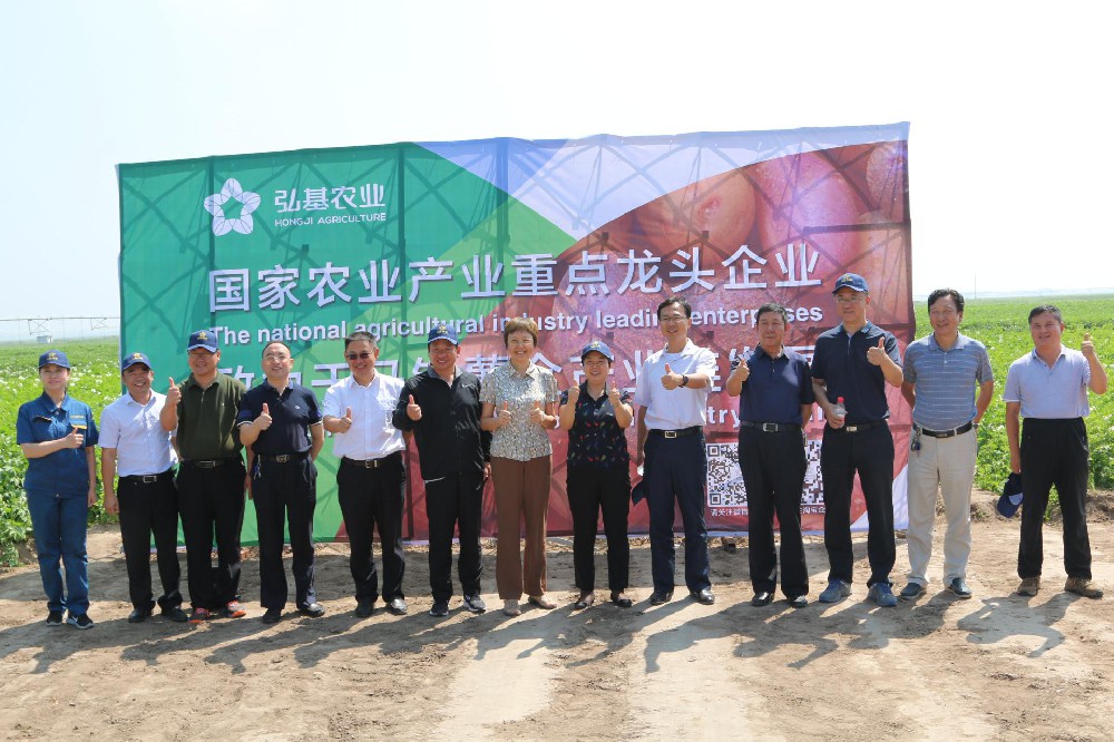 国家马铃薯良种重大科研联合攻关项目相关领导专家到张家口弘基农业观摩考察 国家马铃薯良种重大科研联合攻关项目相关领导专家到张家口弘基农业观摩考察